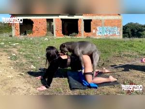 Extreme dog sex videos on ArtOfZoo