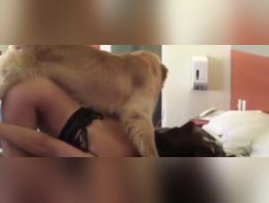 Bestiality: A woman and her dog in a shocking video