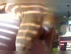 Naughty moments with a dog