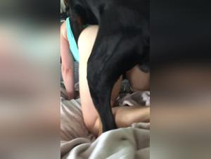 Bestiality at home: a woman and her dog