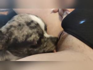 Bestiality: a young woman and her dog