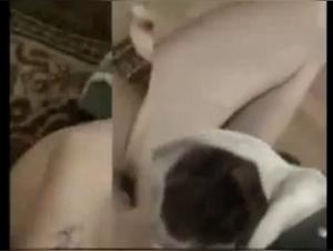Dog Sex Scene - Young Nymph Sucking Dog 4
