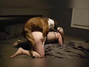 Unveiling the Bestiality Collection