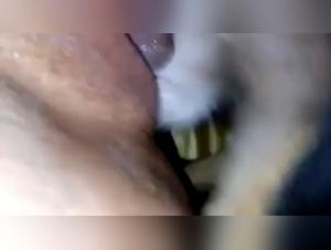 Bestiality Video - Discover the extreme