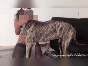 Bestiality sex scene with dog