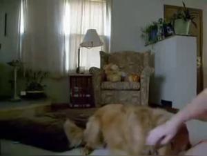 Femme Mature et Son Meilleur Ami à Quatre Pattes: Une Expérience de Sexe Bestialité Excitante