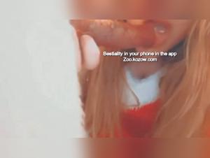 A Wild Encounter at the Zoo