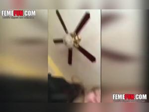 Forbidden Passion: Man and Dog