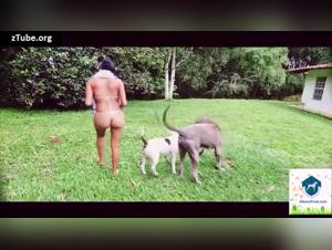 Sex with Dog Video: Extreme Bestiality