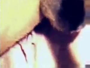 Dog Sex Video: Watch this Slut Get Fucked by a Big Knot