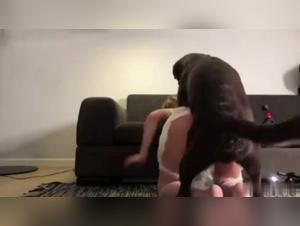 Extreme Bestiality Video: Woman and Dog Share an Intimate Moment