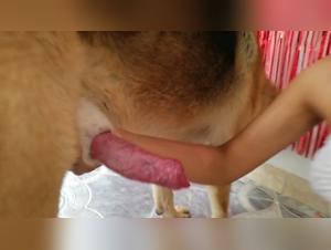 Woman and Dog: A Passionate Encounter - Bestiality Video