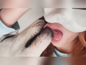 Cat in Action on XVideoZoo