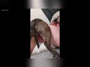 Bestialitat: Meine Freundin und der Hund