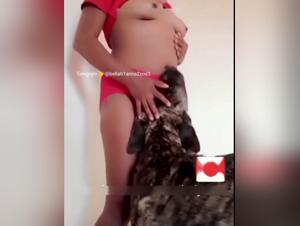 Sex with dogs: extreme bestiality videos