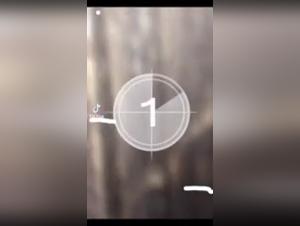 Sex with a Dog Video: A Story of Peeping