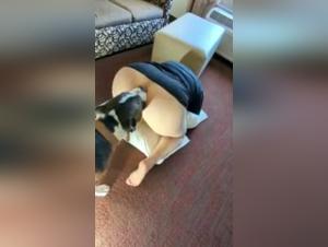 BBW and her dog in a beastly video: a shocking sexual experience