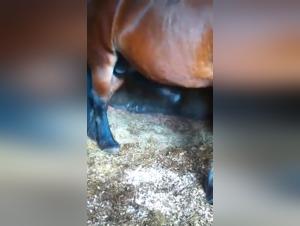 The Best Gay Tube Videos for All