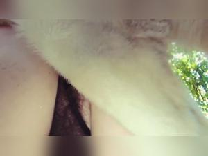 Unveiling Zoophile Desires