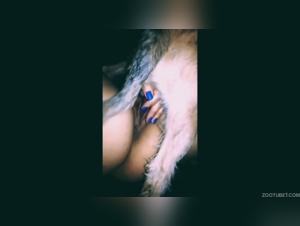 animal welfare and ethics