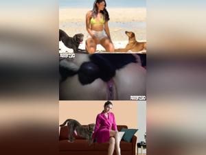 Dark Desires Unleashed