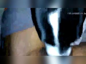 Bestial encounter: a woman and her dog