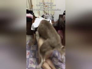 Asian Woman and Her Dog: A Bestiality Sex Video Not to Be Missed