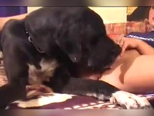 La joven blonda y su perro: Una experiencia intensa para la pute