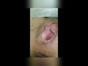 Bestiality Fantasy: An Exciting Encounter