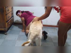 Extreme Bestial Porn: The Ultimate Collection