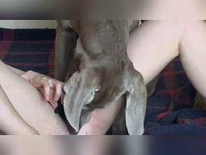 Simone and her adventure with a dog