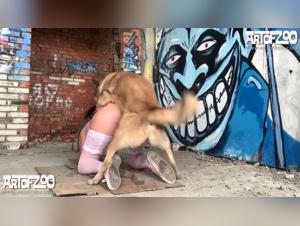 Zumi Disco Stick: Une Expérience Sexuelle Intense et Excitante