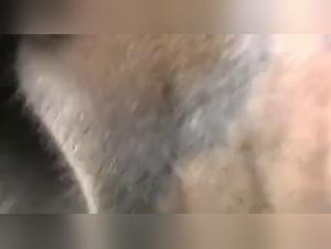 Ponyriding: An Extreme Sexual Experience