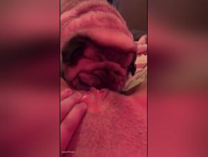 Bestiality sex video: dog licks deep