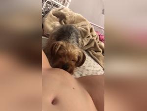 Bestiality: Charming dog and his new friend