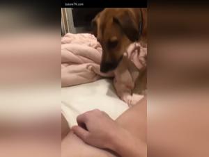 A bestial and intense encounter