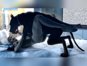 Animacion canina 3D: una experiencia atrevida