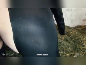 Intense bestial encounter and abundance of sperm