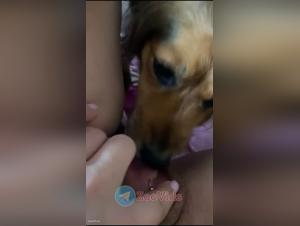 Zooporno Bestialidad Compilacion: Descubre la Mas Intensa