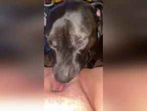 Watch this seductive blowjob with dog : A cougar lesbian woman tickles her partner's neck while he fucks his dog and smokes a cigarette in the background.