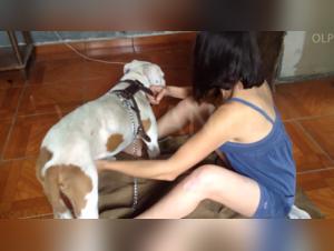 Gabriela and her First Relationship with a Dog