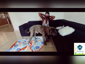 Salma Alison en una intensa escena de zoofilia