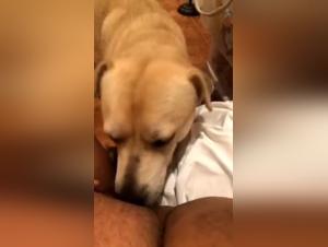 Round and naughty woman indulges in bestiality with a dog