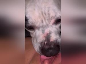 Teenage Girl and Dog: Deep Tongue - Bestiality Video