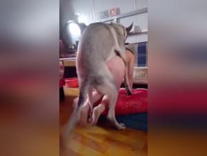 Intimate Video with a Dog