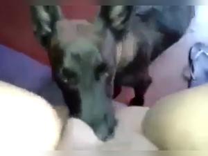 BBW y su companero canino: un video de bestialidad que no te puedes perder