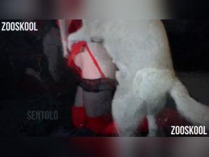 Yasmin and her Canine Romance