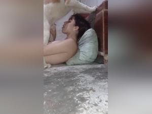 tier bestialitat sex