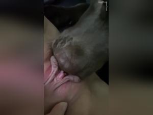  transgressing Boundaries: Bestial Acts