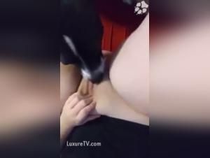 Woman and dog in bestiality sex video